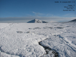 Luční bouda, pramen Bílého Labe