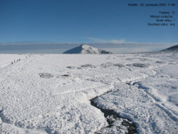 Luční bouda, pramen Bílého Labe