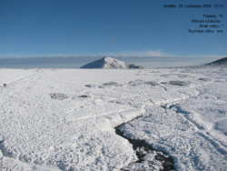 Luční bouda, pramen Bílého Labe