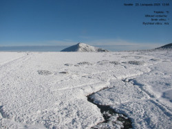 Luční bouda, pramen Bílého Labe