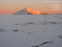 Luční bouda, pramen Bílého Labe