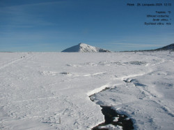 Luční bouda, pramen Bílého Labe