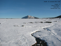 Luční bouda, pramen Bílého Labe