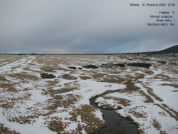 Luční bouda, pramen Bílého Labe