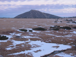 Luční bouda, pramen Bílého Labe