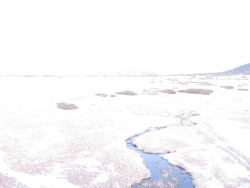 Luční bouda, pramen Bílého Labe