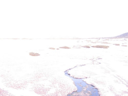 Luční bouda, pramen Bílého Labe