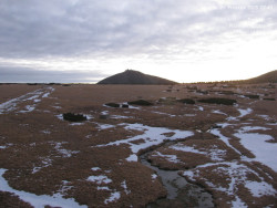 Luční bouda, pramen Bílého Labe