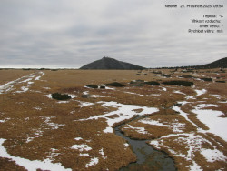 Luční bouda, pramen Bílého Labe