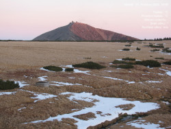 Luční bouda, pramen Bílého Labe
