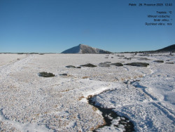 Luční bouda, pramen Bílého Labe