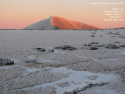 Luční bouda, pramen Bílého Labe