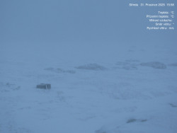 Luční bouda, pramen Bílého Labe