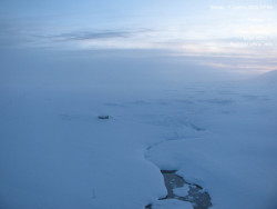 Luční bouda, pramen Bílého Labe