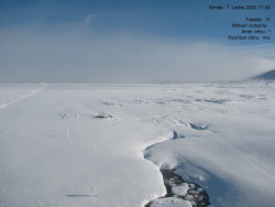 Luční bouda, pramen Bílého Labe