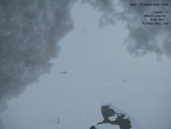 Luční bouda, pramen Bílého Labe