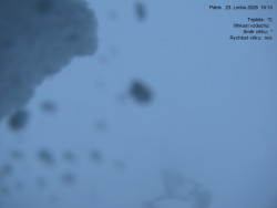 Luční bouda, pramen Bílého Labe