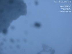 Luční bouda, pramen Bílého Labe