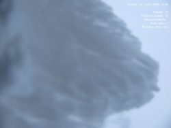 Luční bouda, pramen Bílého Labe