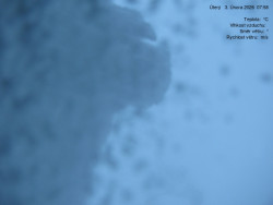 Luční bouda, pramen Bílého Labe