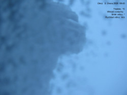 Luční bouda, pramen Bílého Labe