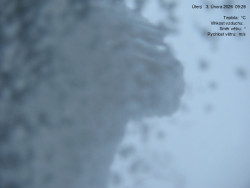 Luční bouda, pramen Bílého Labe