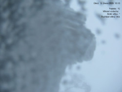 Luční bouda, pramen Bílého Labe