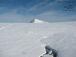 Luční bouda, pramen Bílého Labe
