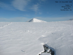 Luční bouda, pramen Bílého Labe