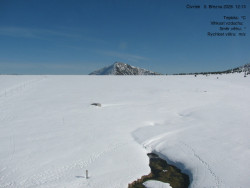 Luční bouda, pramen Bílého Labe