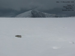 Luční bouda, pramen Bílého Labe