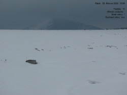 Luční bouda, pramen Bílého Labe