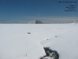 Luční bouda, pramen Bílého Labe