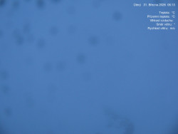 Luční bouda, pramen Bílého Labe