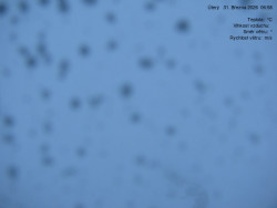 Luční bouda, pramen Bílého Labe