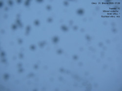 Luční bouda, pramen Bílého Labe