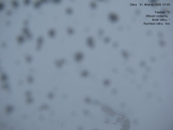 Luční bouda, pramen Bílého Labe