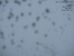 Luční bouda, pramen Bílého Labe