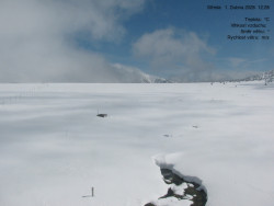 Luční bouda, pramen Bílého Labe