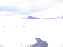 Luční bouda, pramen Bílého Labe