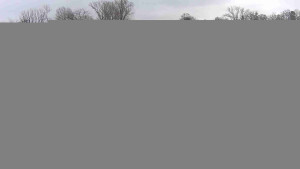 Baťův kanál - Přístav Veselí nad Moravou na Baťově kanále - 22.12.2025 v 11:15 Baťův kanál - Přístav Veselí nad Moravou na Baťově kanále - 22.12.2025 v 11:15