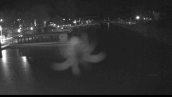 Přístav Veselí nad Moravou na Baťově kanále