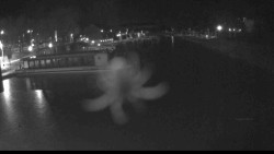 Přístav Veselí nad Moravou na Baťově kanále