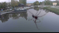 Přístav Veselí nad Moravou na Baťově kanále