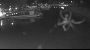 Baťův kanál - Přístav Veselí nad Moravou na Baťově kanále - 17.6.2026 v 00:45 Baťův kanál - Přístav Veselí nad Moravou na Baťově kanále - 17.6.2026 v 00:45