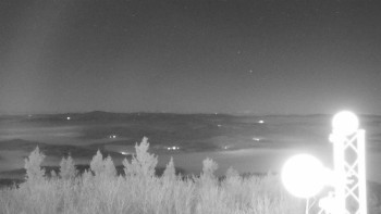 Snímek 7.11.2025 v 22:45