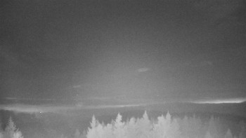 Snímek 16.11.2025 v 02:30