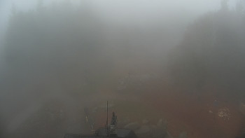 Snímek 17.11.2025 v 08:00