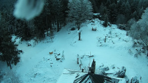 Kleť, Šumavské podhůří - Kleť - 7.1.2026 v 07:45 Kleť, Šumavské podhůří - Kleť - 7.1.2026 v 07:45