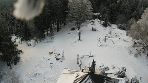 Kleť, Šumavské podhůří - Kleť - 7.1.2026 v 08:30 Kleť, Šumavské podhůří - Kleť - 7.1.2026 v 08:30